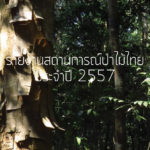 รายงานสถานการณ์ป่าไม้ไทย 2557