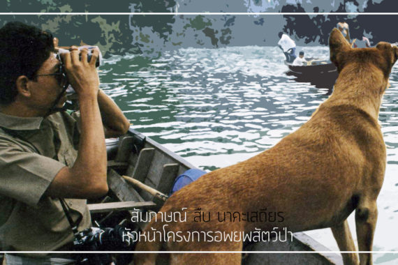 สัมภาษณ์ คุณสืบ นาคะเสถียร หัวหน้าโครงการอพยพสัตว์ป่า