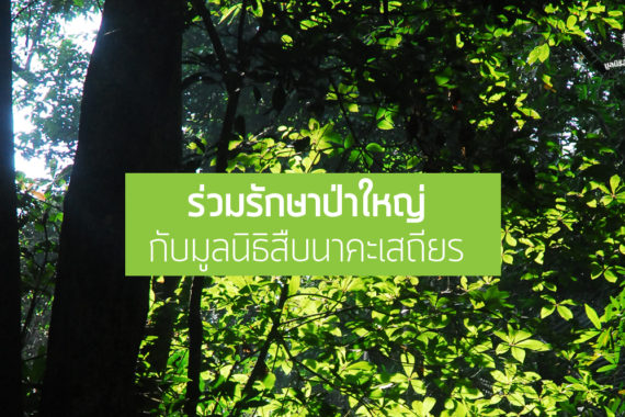 รายนามผู้ร่วมรักษาป่าใหญ่ผ่าน Bangchak – Cards ประจำปี 2559