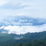 เจ้าหน้าที่ มูลนิธิสืบนาคะเสถียร