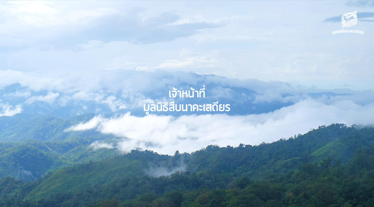 เจ้าหน้าที่ มูลนิธิสืบนาคะเสถียร