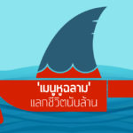 ‘เมนูหูฉลาม’ แลกชีวิตนับล้าน