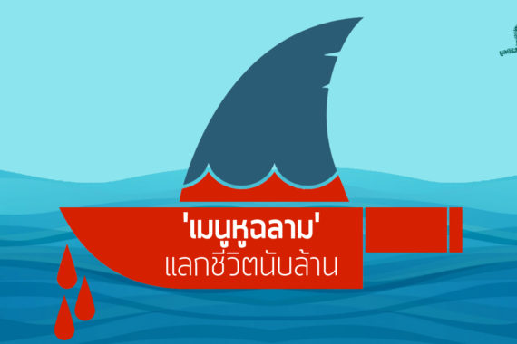 ‘เมนูหูฉลาม’ แลกชีวิตนับล้าน