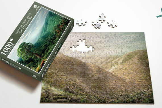 Jigsaw for Forest ระดมทุนทำจิ๊กซอว์ต่ออายุป่าไม้