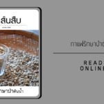 สาส์นสืบ – กาแฟรักษาป่า