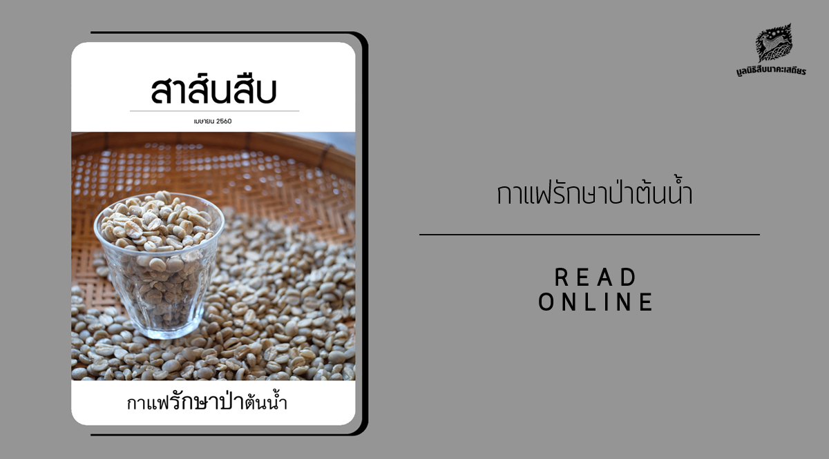 สาส์นสืบ – กาแฟรักษาป่า