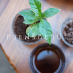 กาแฟรักษาป่า EP 1