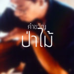 คำขวัญ – ป่าไม้