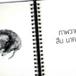 ภาพวาด สัตว์ป่า