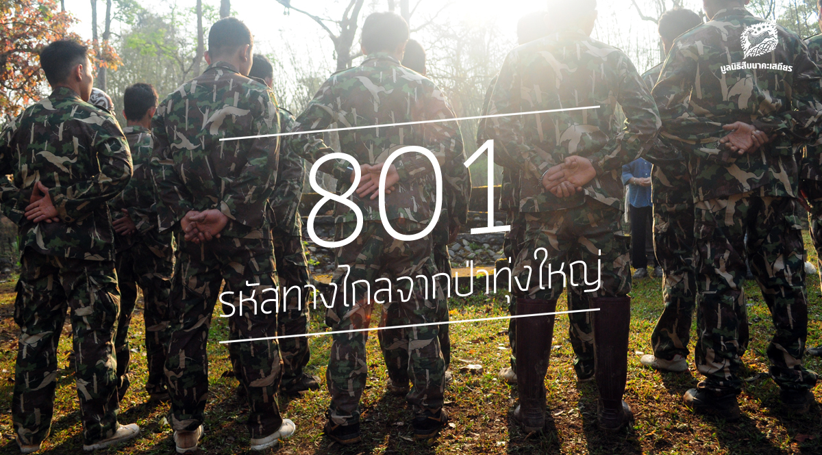 801 รหัสทางไกลจากป่าทุ่งใหญ่