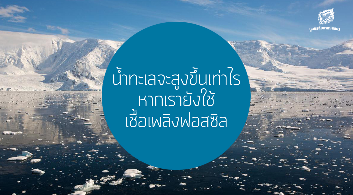 น้ำทะเลจะสูงขึ้นเท่าไร หากเรายังใช้เชื้อเพลิงฟอสซิล