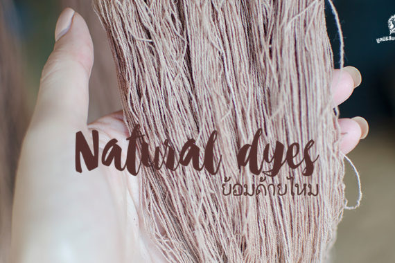 Natural dyes ย้อมด้ายไหม