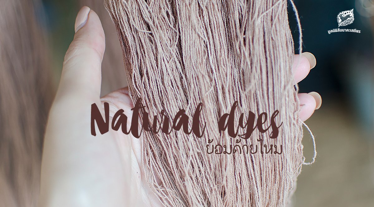 Natural dyes ย้อมด้ายไหม