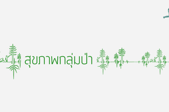 powerpoint – สุขภาพป่า 2560