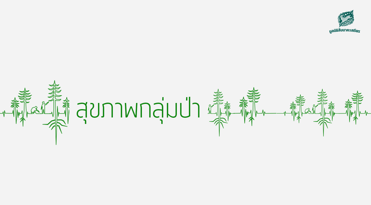 powerpoint – สุขภาพป่า 2560