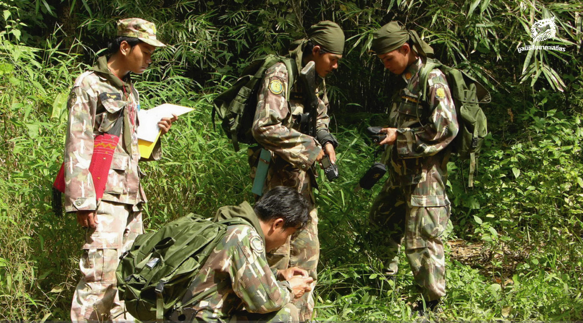 Smart Patrol Ranger วิทยาการเพื่อพิทักษ์ผืนป่า