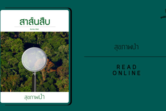 สาส์นสืบ – สุขภาพป่า