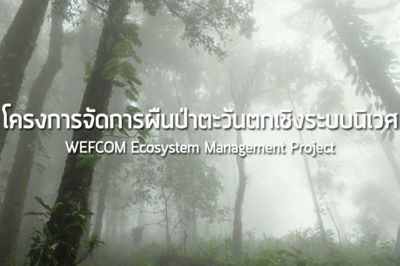โครงการจัดการผืนป่าตะวันตกเชิงระบบนิเวศ  WEFCOM Ecosystem Management Project
