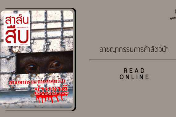 สาส์นสืบ – อาชญากรรมการค้าสัตว์ป่าข้ามชาติ