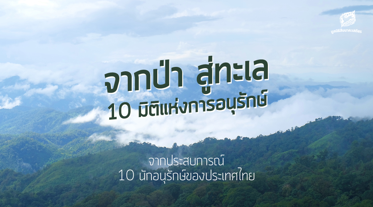 จากป่า สู่ทะเล : 10 มิติแห่งการอนุรักษ์