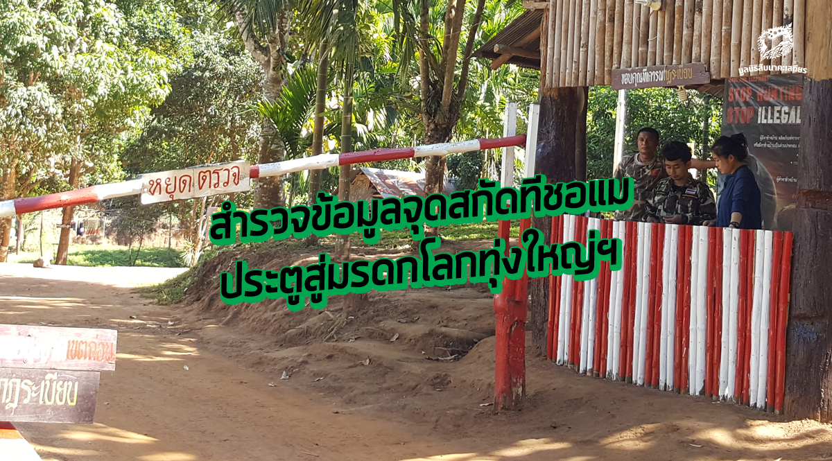 สำรวจข้อมูลจุดสกัดทีชอแม ประตูสู่มรดกโลกทุ่งใหญ่ฯ