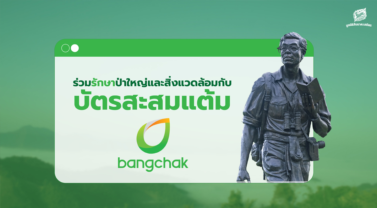 ร่วมปกป้องผืนป่าสัตว์ป่า ผ่าน บัตรสะสมแต้มบางจาก