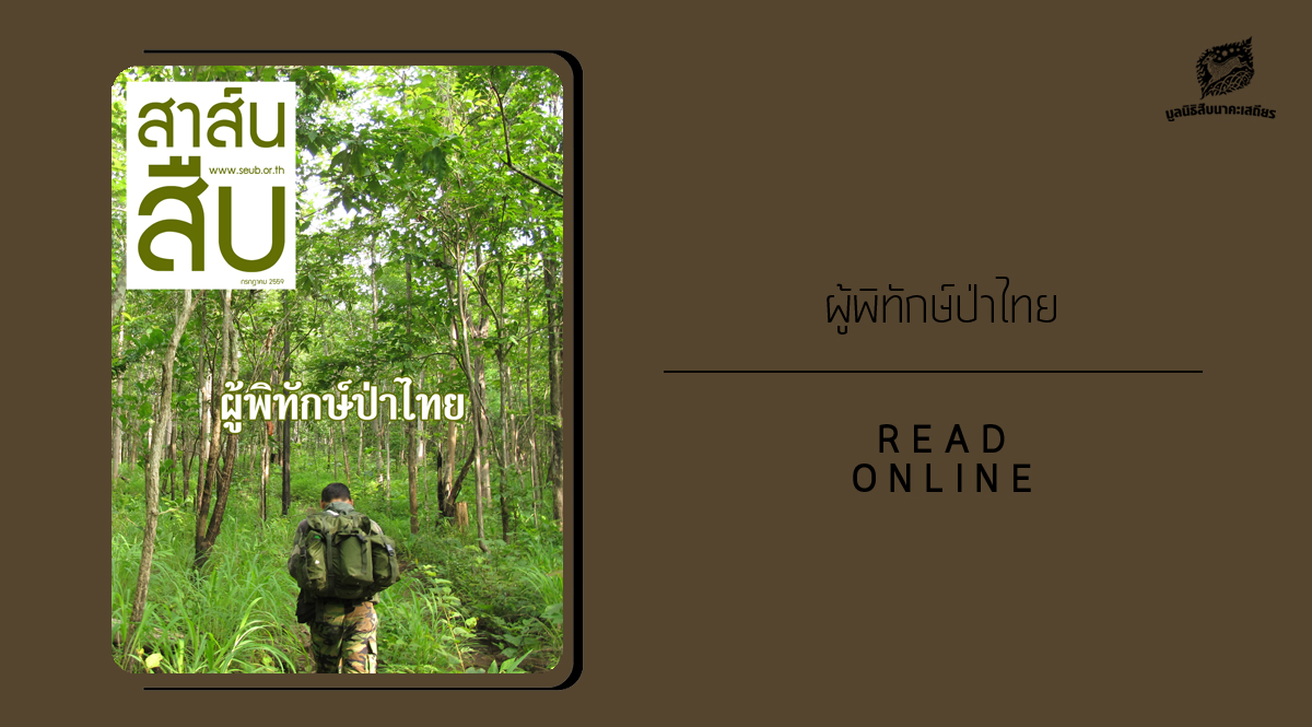 สาส์นสืบ – ผู้พิทักษ์ป่าไทย