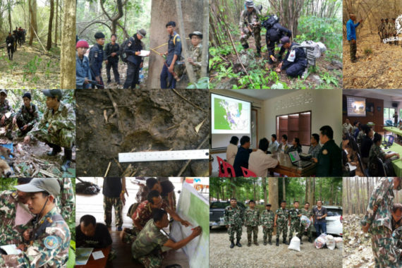 ปีที่ 3 งานพัฒนาระบบลาดตระเวนเชิงคุณภาพในป่าตะวันตก