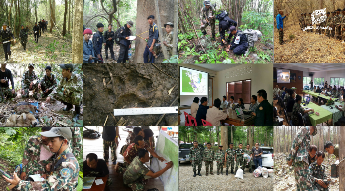 ปีที่ 3 งานพัฒนาระบบลาดตระเวนเชิงคุณภาพในป่าตะวันตก