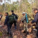 ความร่วมมืออนุรักษ์วัวแดงที่อุทยานแห่งชาติแม่วงก์