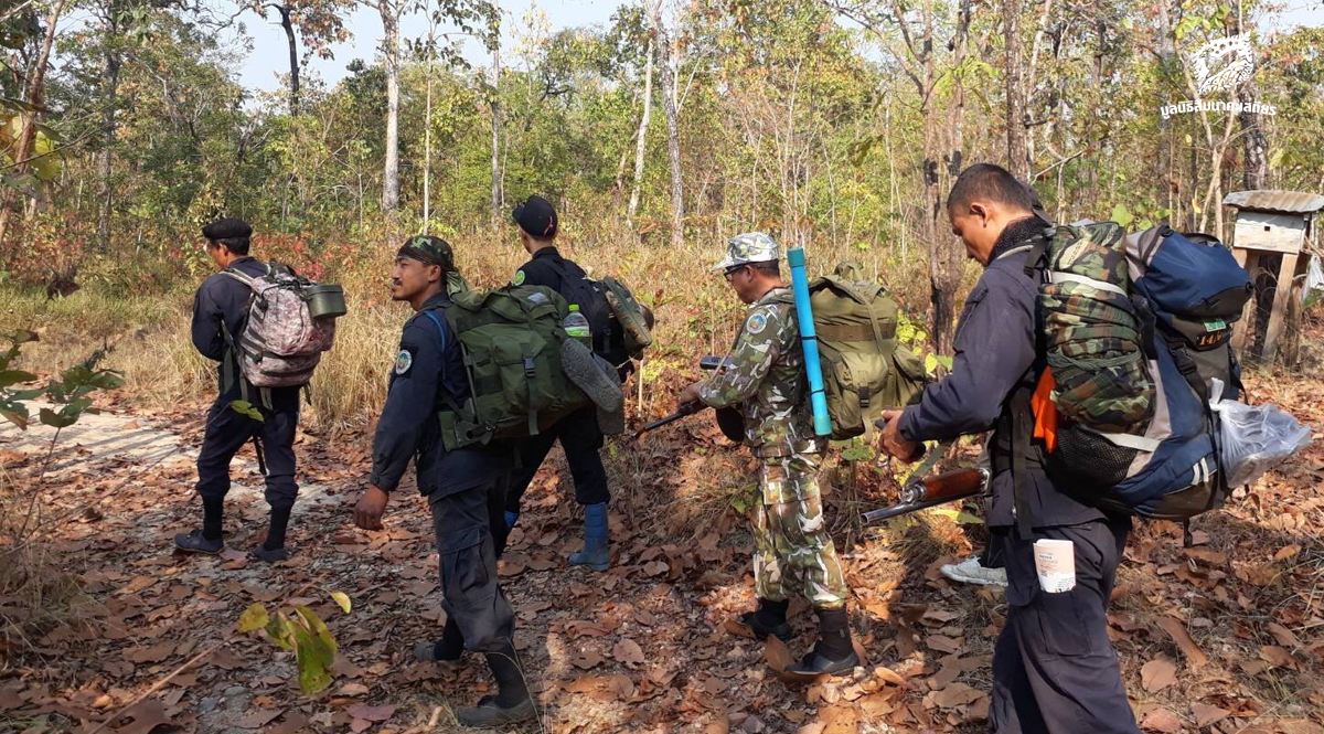 ความร่วมมืออนุรักษ์วัวแดงที่อุทยานแห่งชาติแม่วงก์