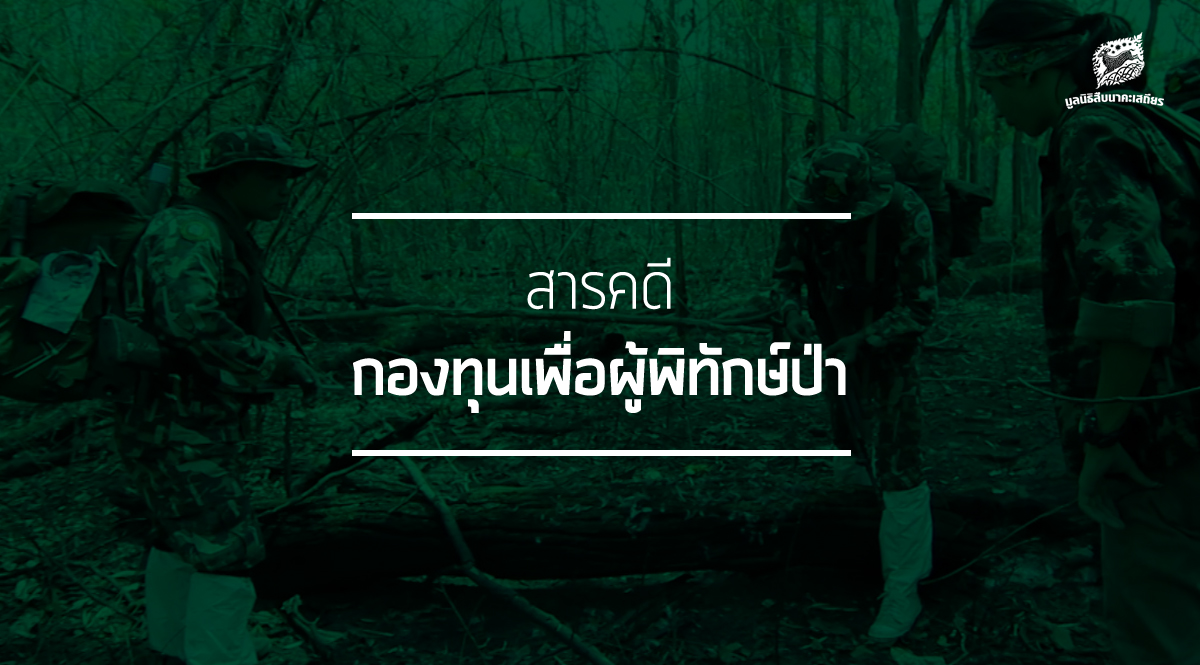 สารคดี กองทุนเพื่อผู้พิทักษ์ป่า มูลนิธิสืบนาคะเสถียร