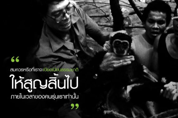 ร่วมรักษาป่าใหญ่กับ มูลนิธิสืบนาคะเสถียร