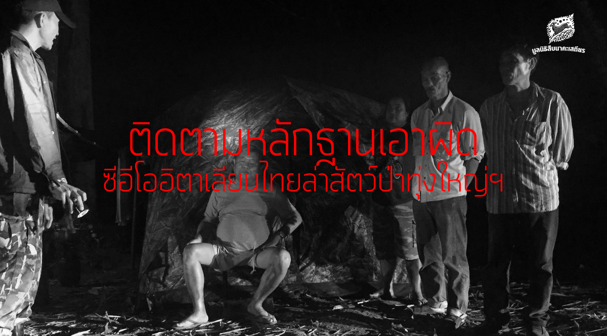 ติดตามหลักฐานเอาผิด ซีอีโออิตาเลียนไทยล่าสัตว์ป่าทุ่งใหญ่ฯ # 2