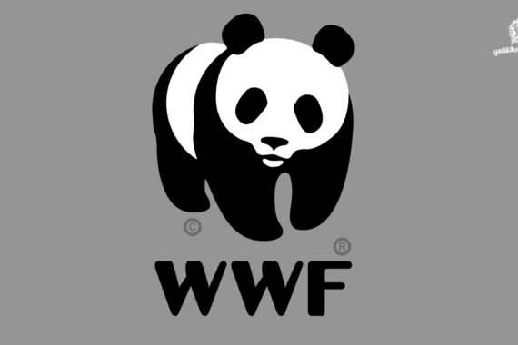 WWF-ประเทศไทย แถลงการณ์ประณามเปรมชัย กรณีล่าสัตว์ป่าในทุ่งใหญ่ฯ