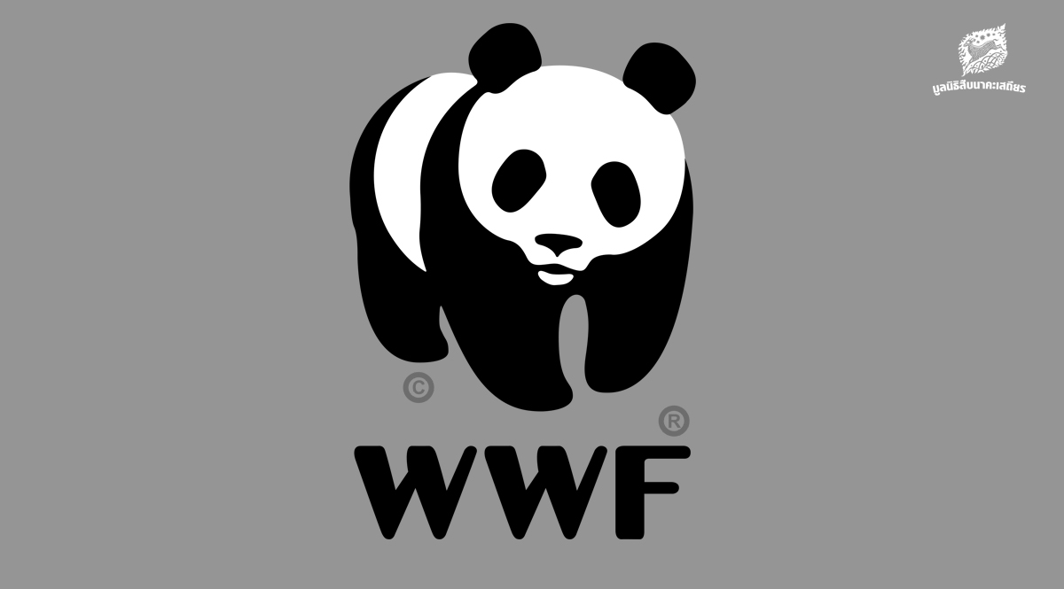 WWF-ประเทศไทย แถลงการณ์ประณามเปรมชัย กรณีล่าสัตว์ป่าในทุ่งใหญ่ฯ