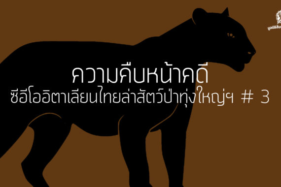 ความคืบหน้าคดี ซีอีโออิตาเลียนไทยล่าสัตว์ป่าทุ่งใหญ่ฯ # 3