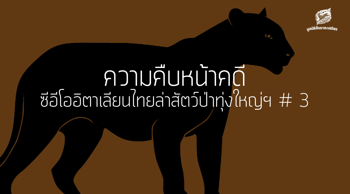 ความคืบหน้าคดี ซีอีโออิตาเลียนไทยล่าสัตว์ป่าทุ่งใหญ่ฯ # 3