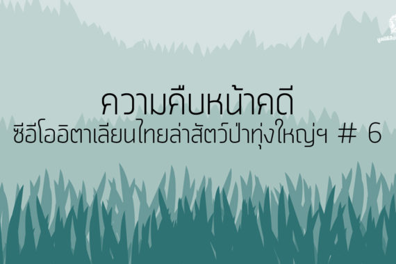 ความคืบหน้าคดี ซีอีโออิตาเลียนไทยล่าสัตว์ป่าทุ่งใหญ่ฯ # 6