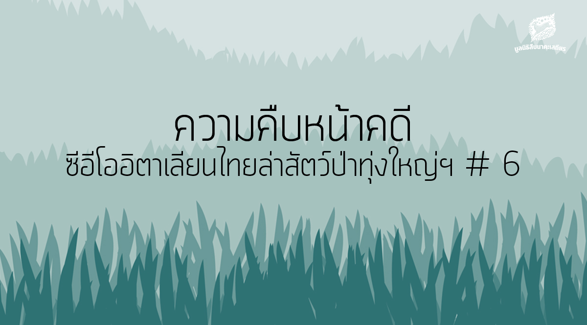 ความคืบหน้าคดี ซีอีโออิตาเลียนไทยล่าสัตว์ป่าทุ่งใหญ่ฯ # 6