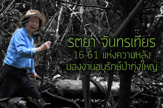 รตยา จันทรเทียร 16-61 แห่งความหลัง มองงานอนุรักษ์ป่าทุ่งใหญ่