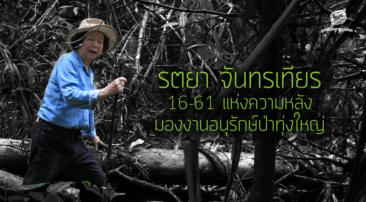 รตยา จันทรเทียร 16-61 แห่งความหลัง มองงานอนุรักษ์ป่าทุ่งใหญ่