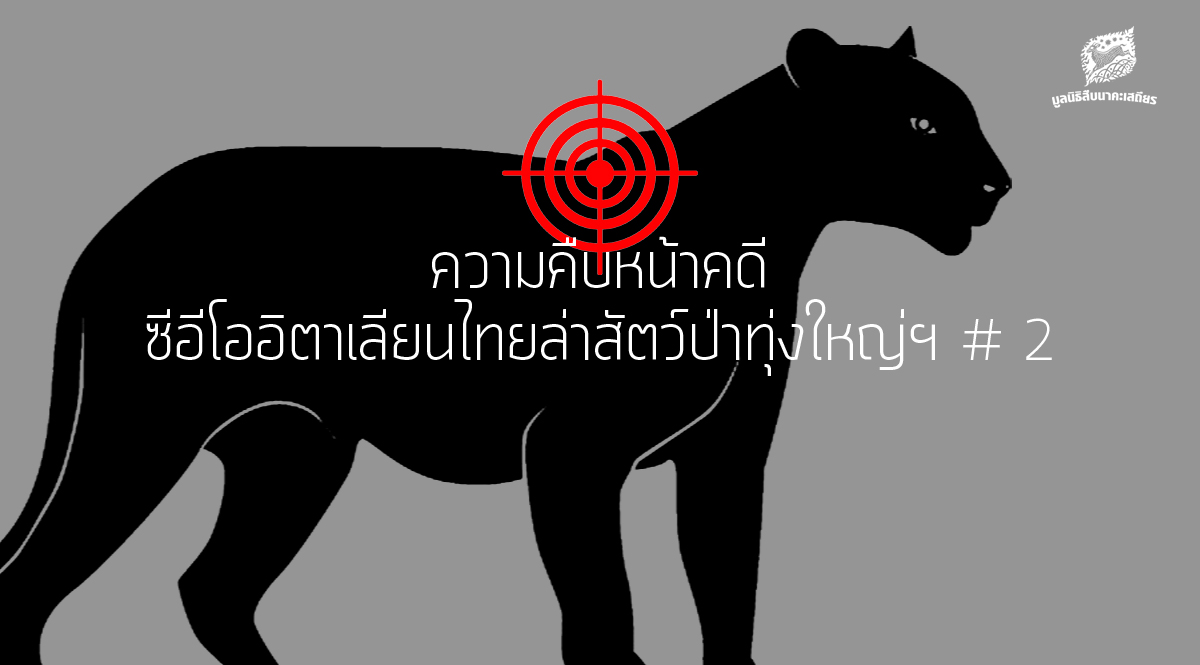 ความคืบหน้าคดี ซีอีโออิตาเลียนไทยล่าสัตว์ป่าทุ่งใหญ่ฯ # 2