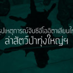 สรุปเหตุการณ์จับซีอีโออิตาเลียนไทยล่าสัตว์ป่าทุ่งใหญ่ฯ