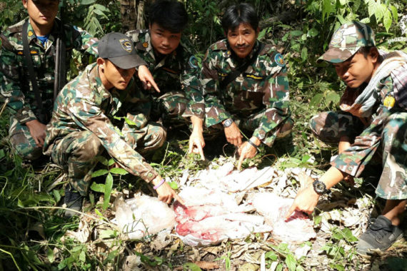 สรุปเนื้อหา กรมอุทยานฯ แถลงข่าว การล่าสัตว์ในป่าทุ่งใหญ่ฯ