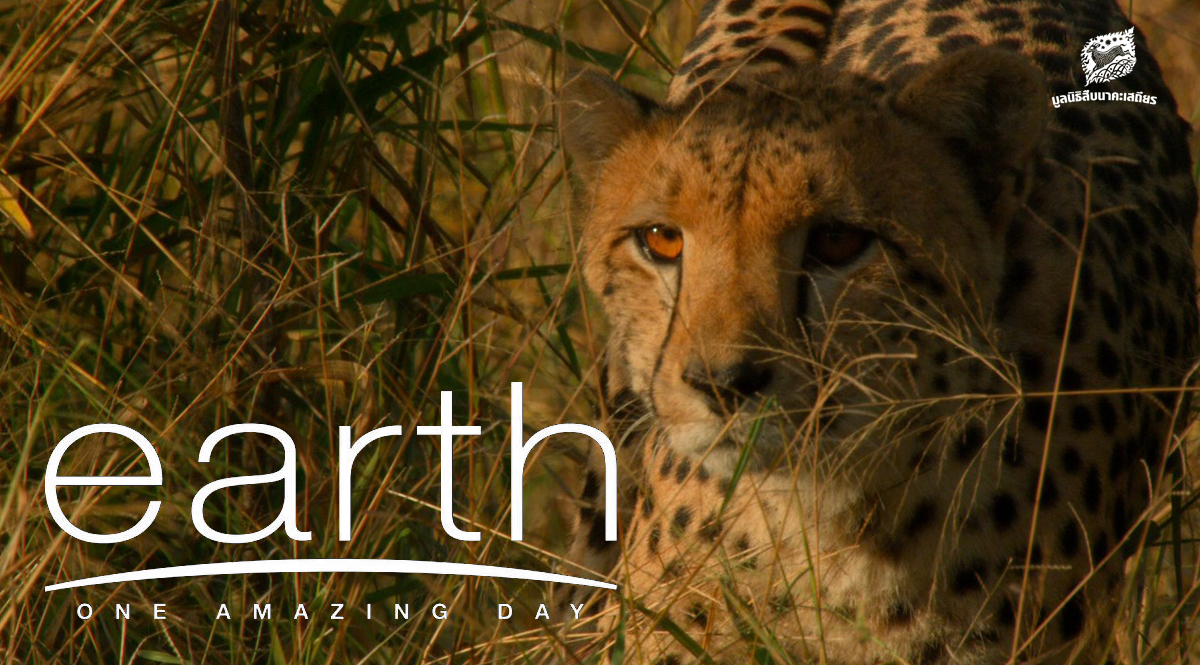 ชวนชมภาพยนตร์เรื่อง Earth One Amazing Day รอบพิเศษ 14 มีนาคมนี้