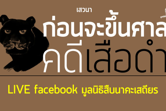 สรุป-วิเคราะห์ ก่อนจะขึ้นศาลคดีเสือดำ