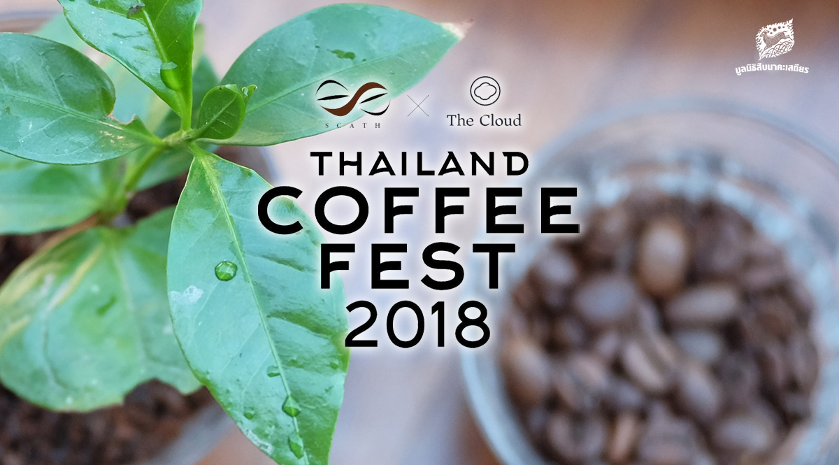 กาแฟรักษาป่าในงาน Thailand Coffee Fest 2018