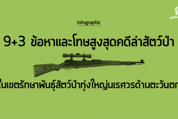 9+3 ข้อหาและโทษสูงสุดคดีล่าสัตว์ป่า ในเขตรักษาพันธุ์สัตว์ป่าทุ่งใหญ่นเรศวรด้านตะวันตก