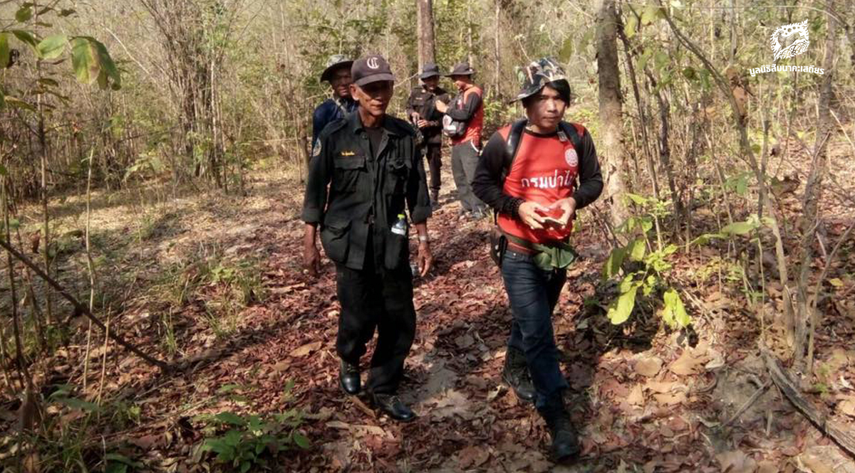 หน่วยรักษาป่า – กรรมการป่าชุมชน ร่วมเก็บข้อมูลป่าชุมชนบ้านอ่างห้วยดง